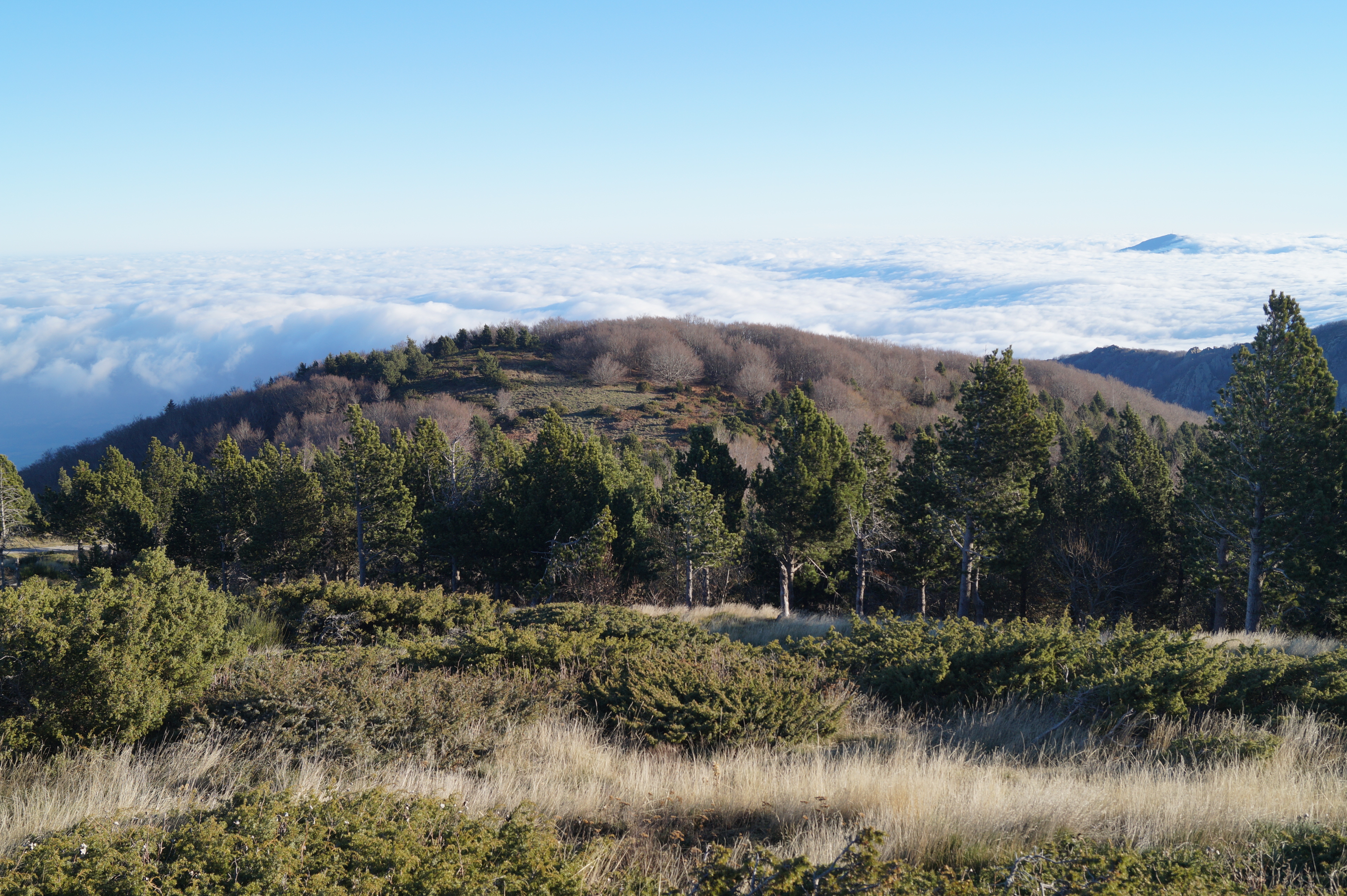 N 08 De Montalba Au Roc De Frausa Sud Canigo