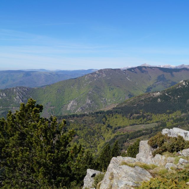 n°13 La montée à Sant Guillem