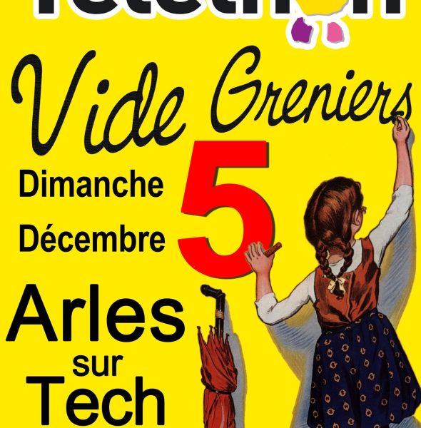 VIDE GRENIER TELETHON