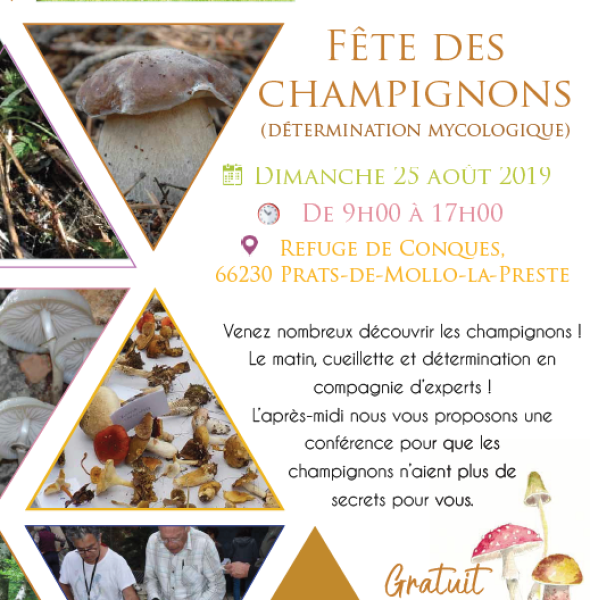 Fête du champignon