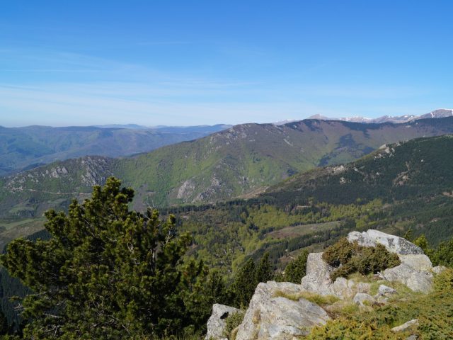 n°13 La montée à Sant Guillem