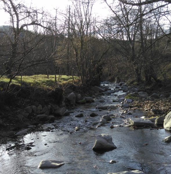 Exposition sur l&#8217;Eau